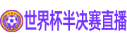 世界杯半决赛直播